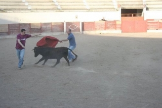 Toreando